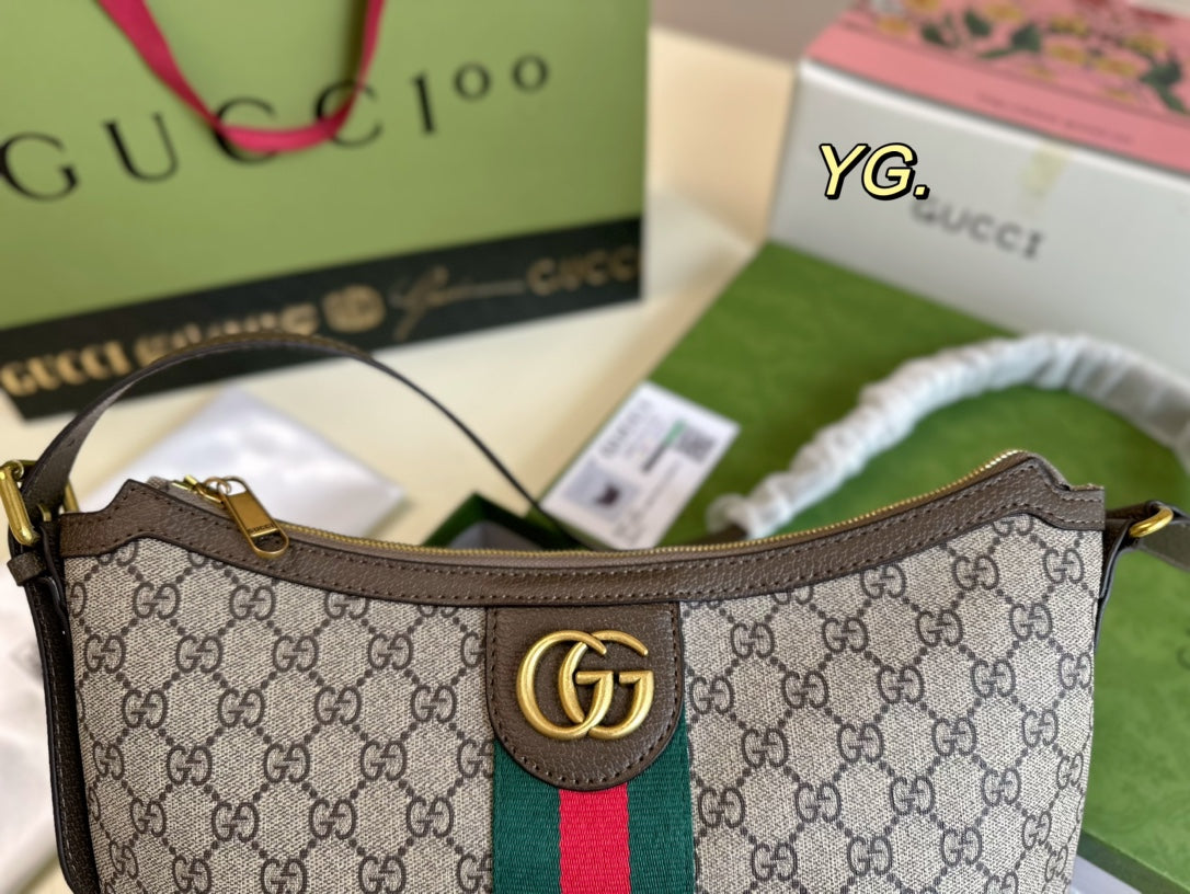 GUCCI BAG  666-1
