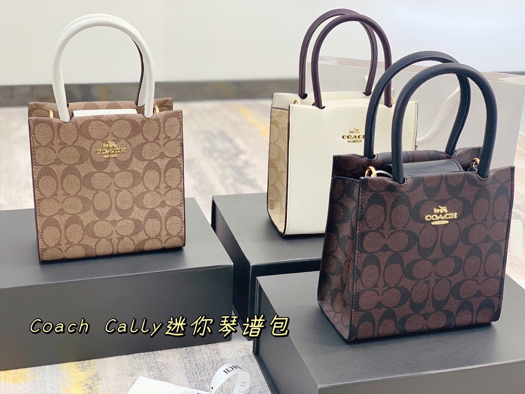 Co-BAG700