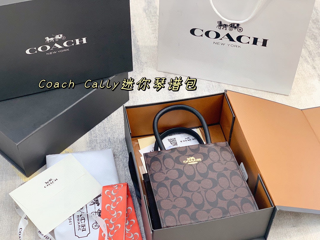 Co-BAG700