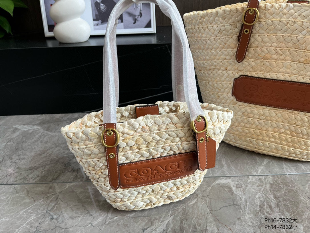 Co-BAG573