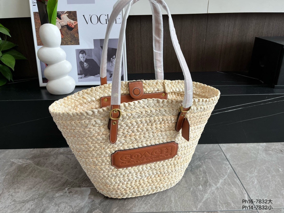 Co-BAG573
