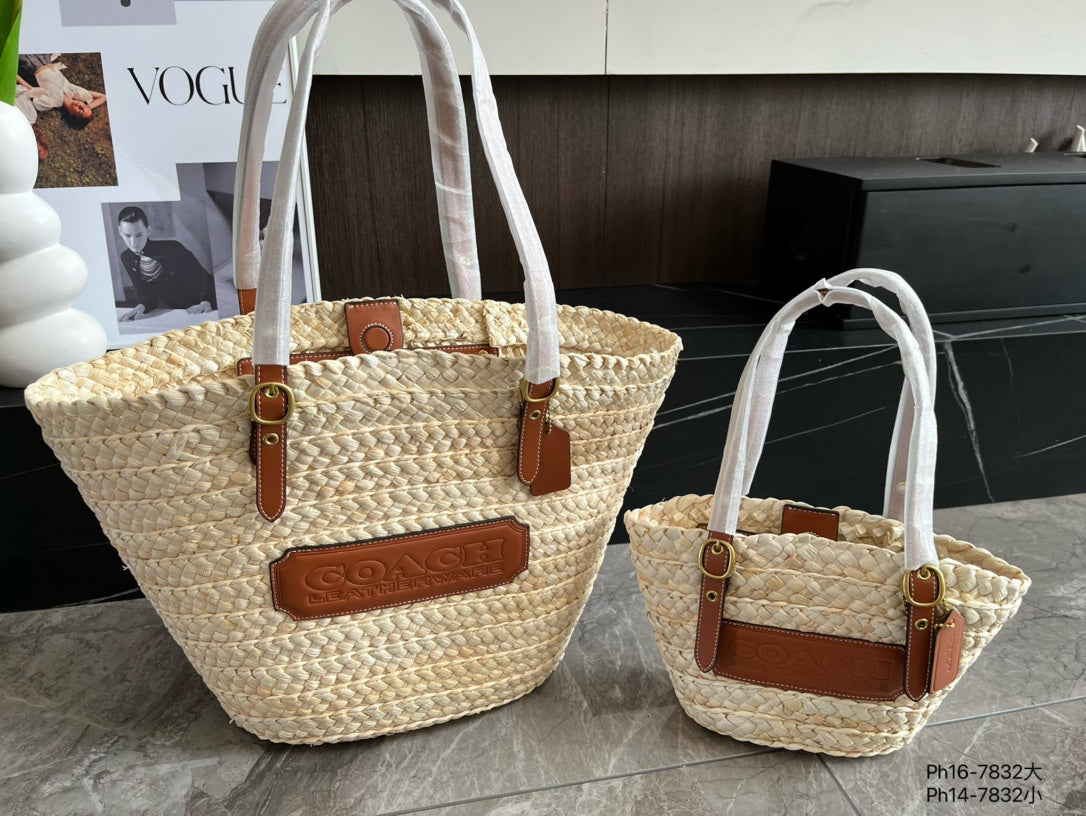 Co-BAG573