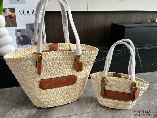 Co-BAG573
