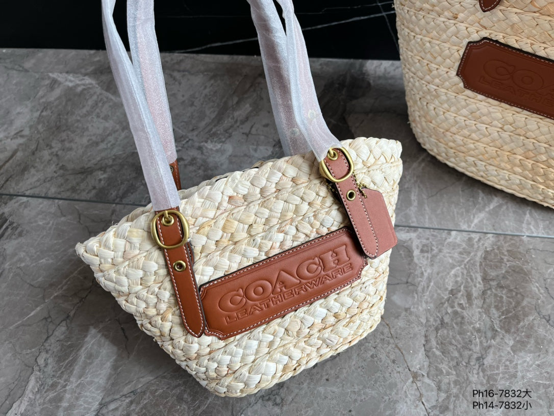 Co-BAG573