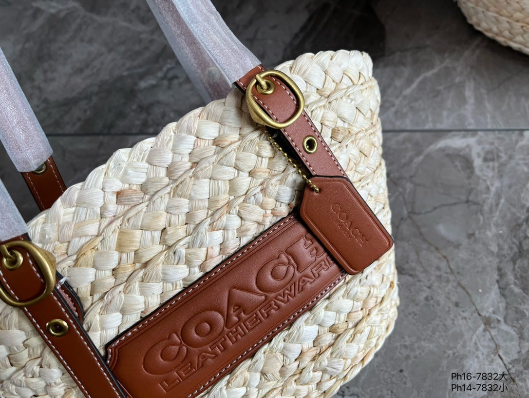 Co-BAG573