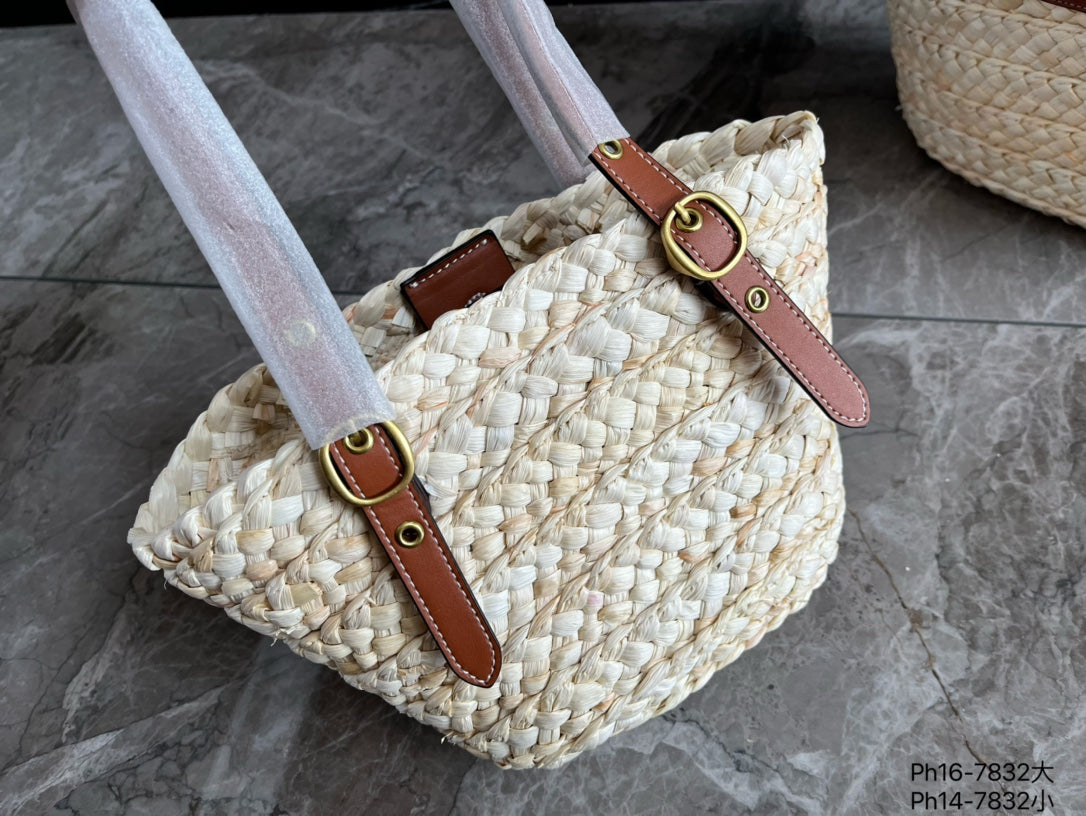 Co-BAG573