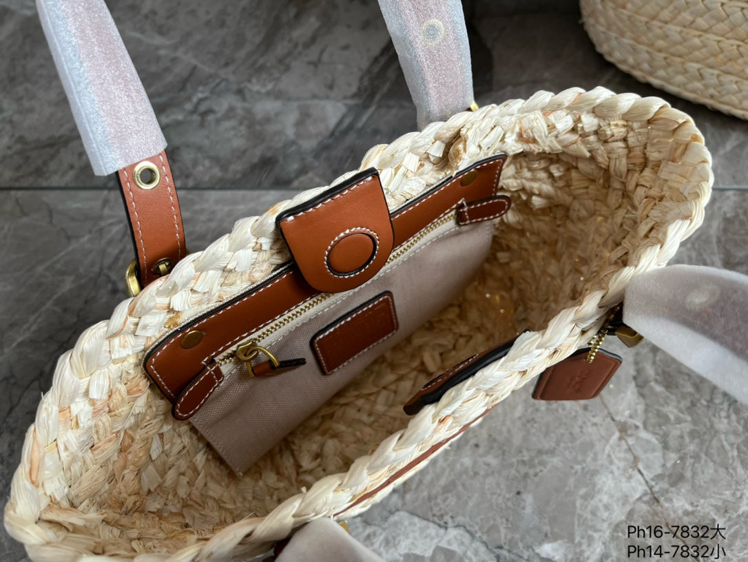 Co-BAG573