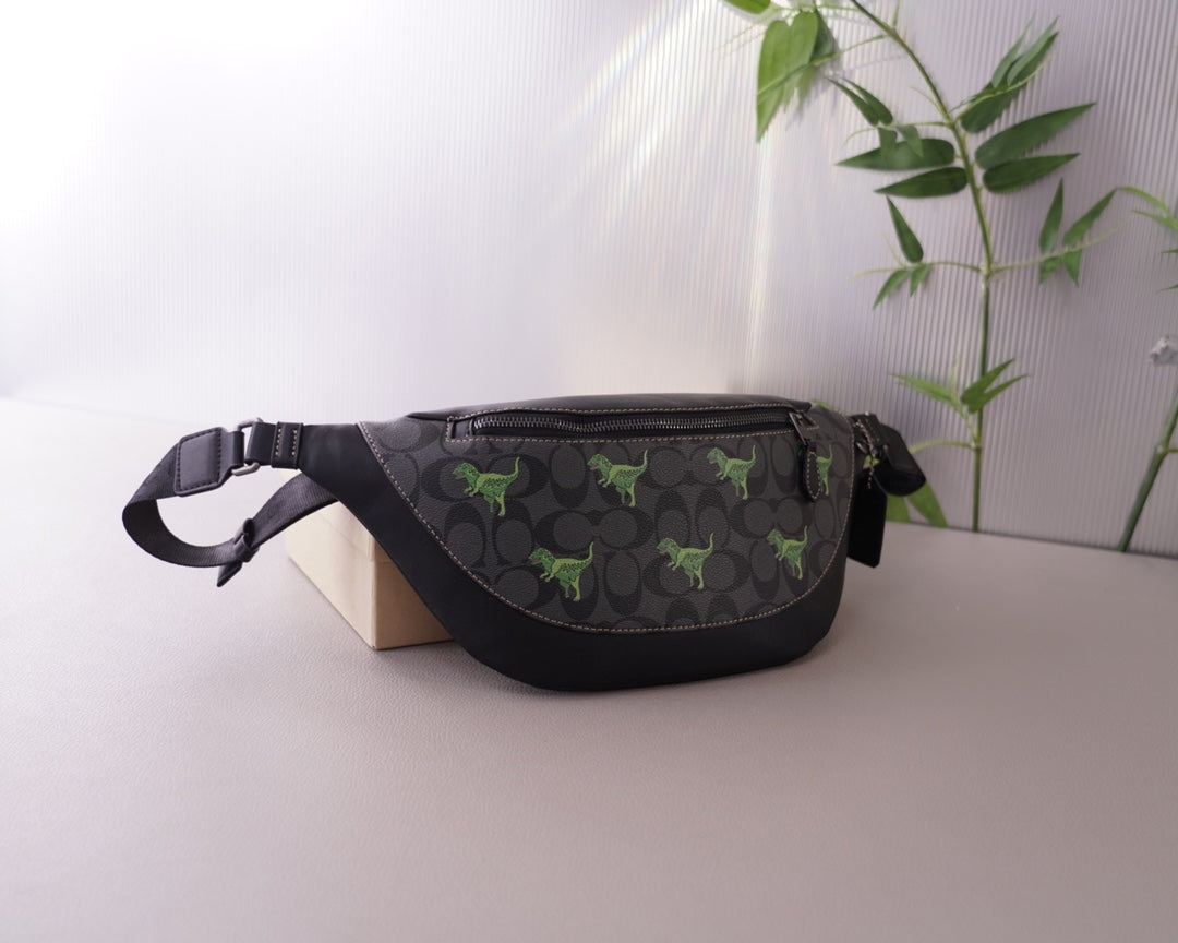 Co-BAG584
