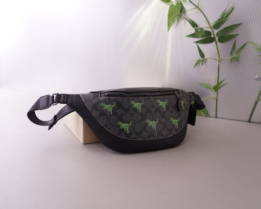 Co-BAG584