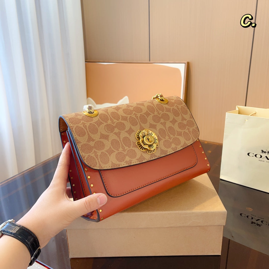 Co-BAG576