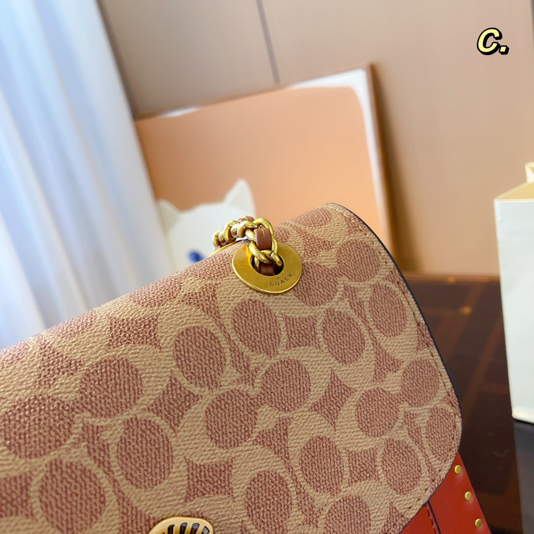 Co-BAG576