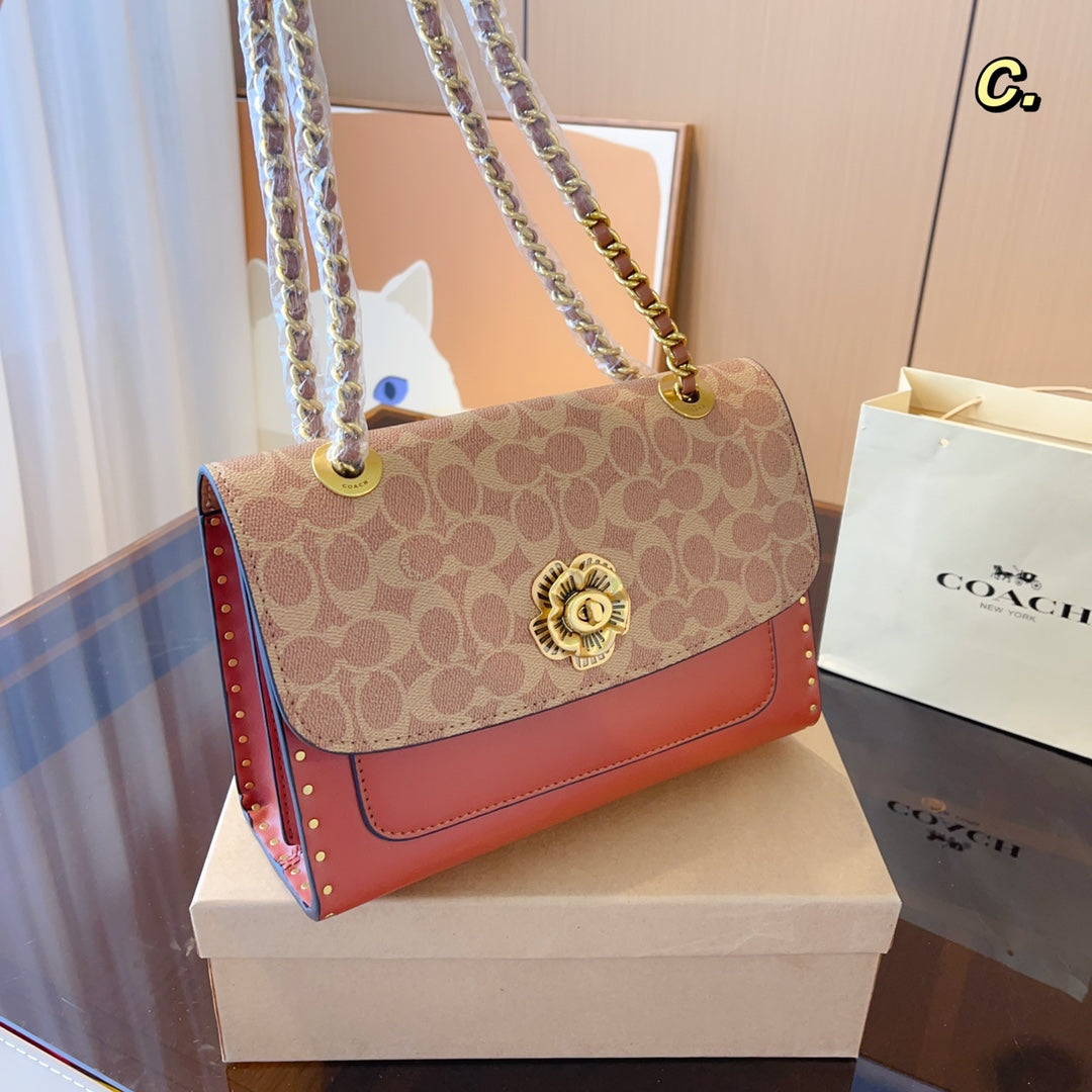 Co-BAG576
