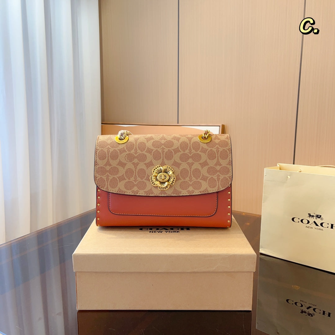 Co-BAG576
