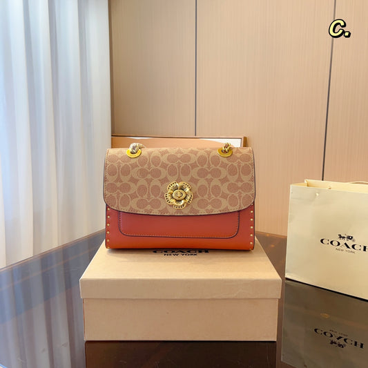 Co-BAG576