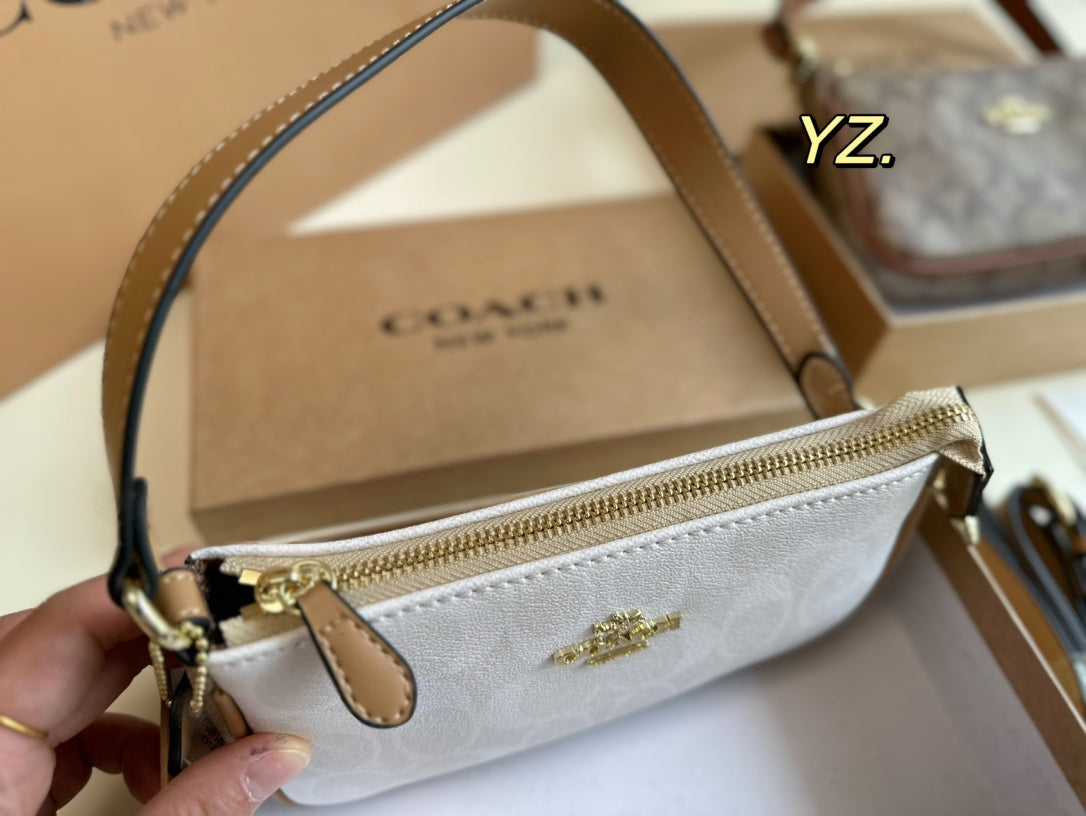 Co-BAG84