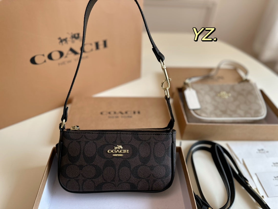 Co-BAG84