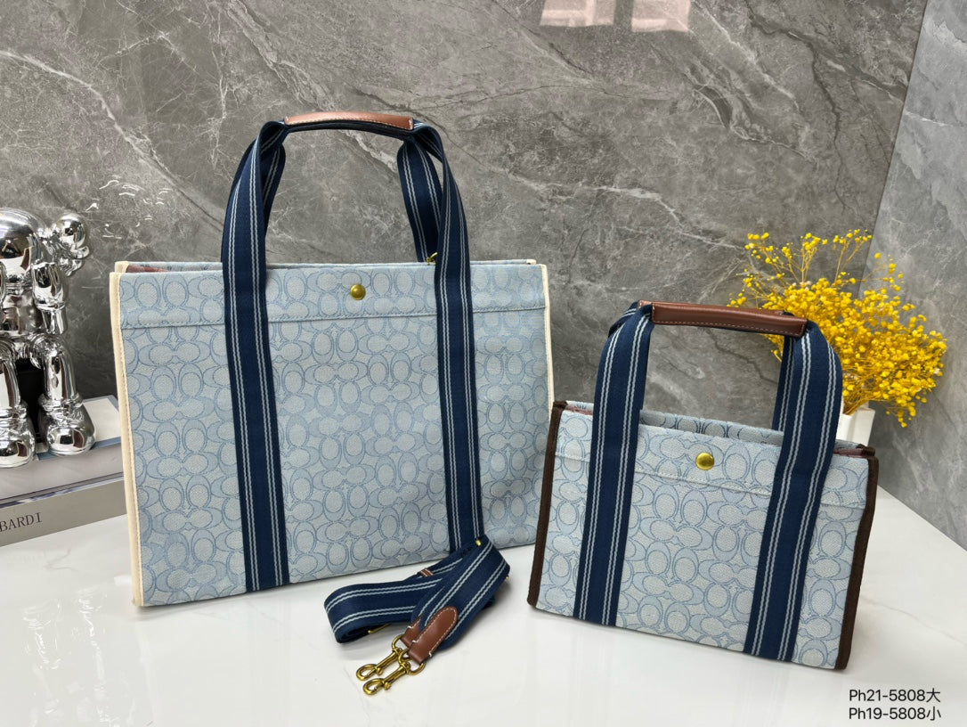 Co-BAG718