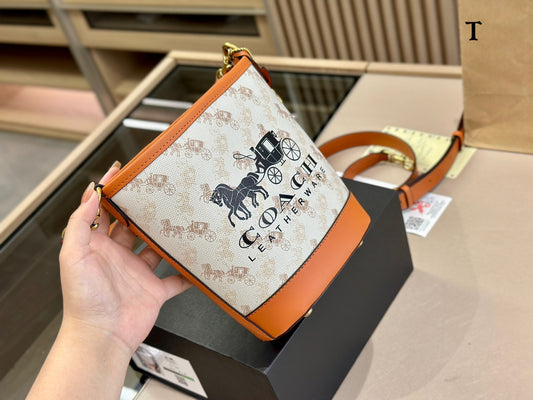 Co-BAG136-2