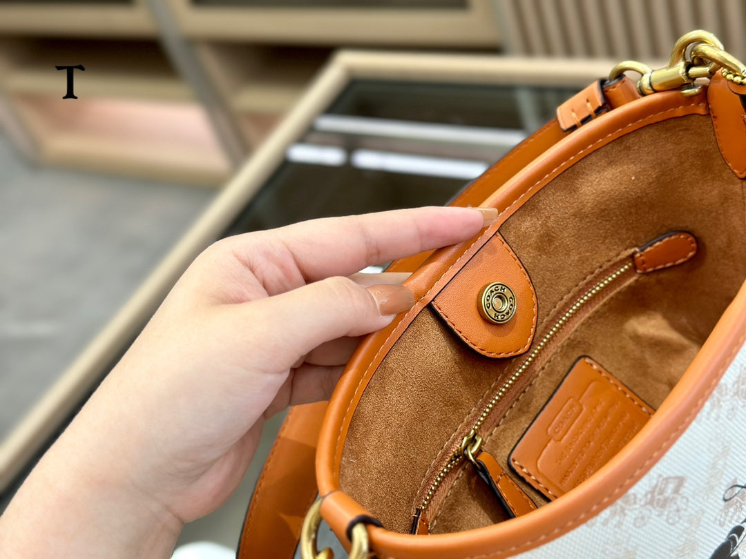 Co-BAG136-2