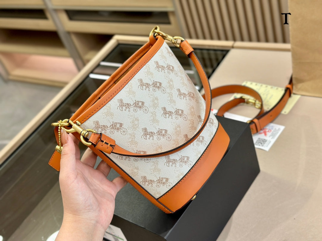 Co-BAG136-2