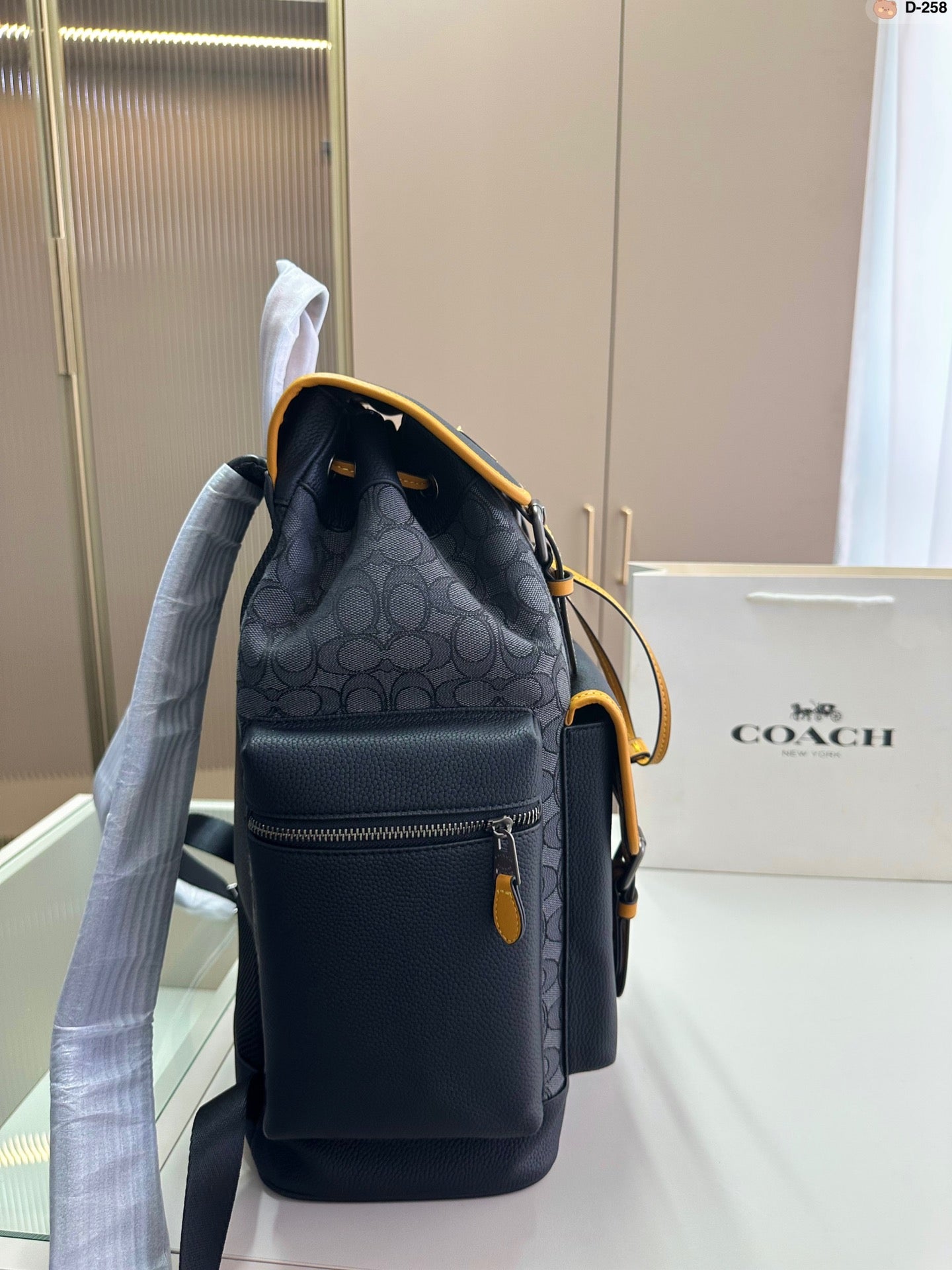 Co-BAG149