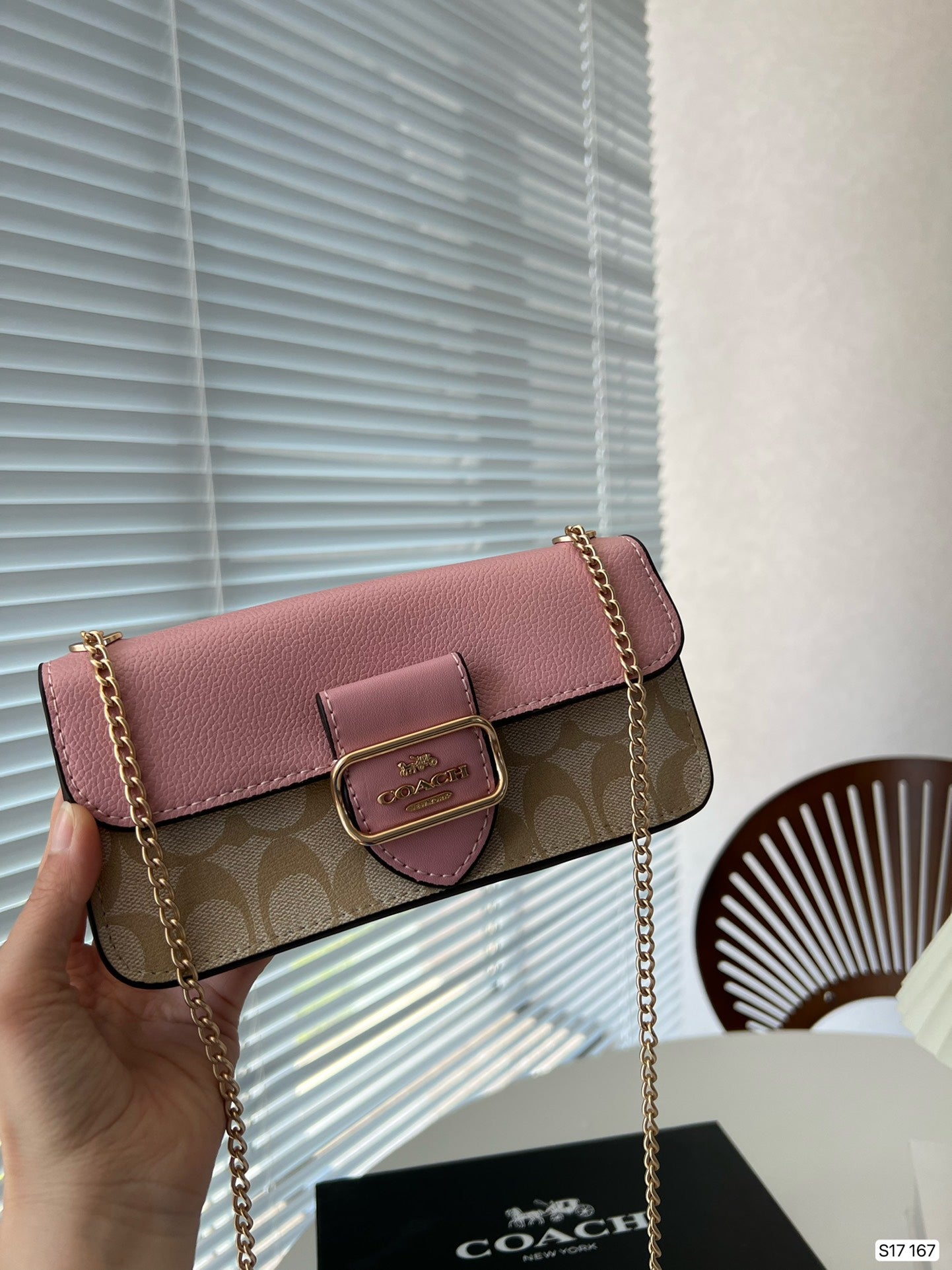 Co-BAG165