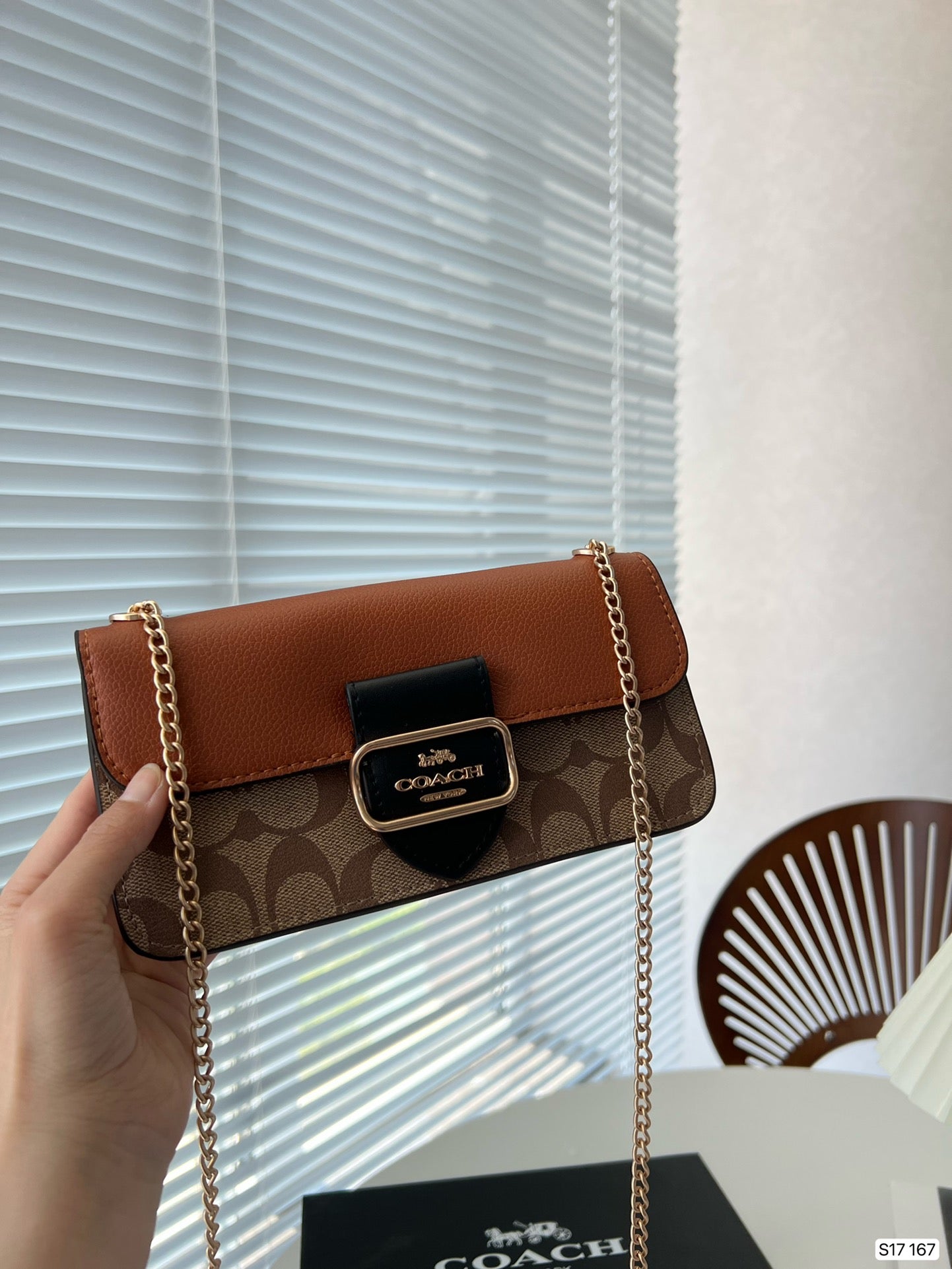 Co-BAG165