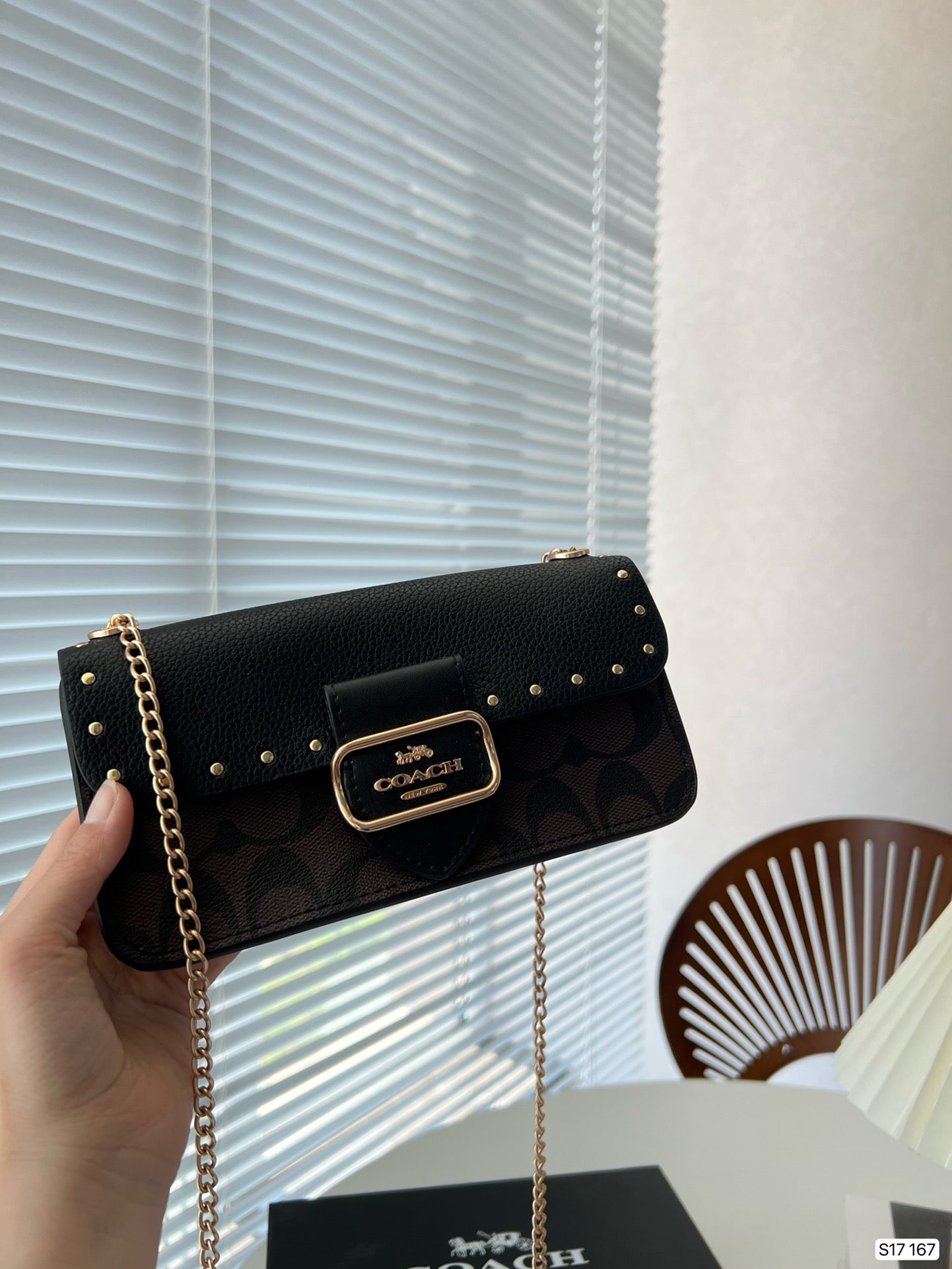 Co-BAG165