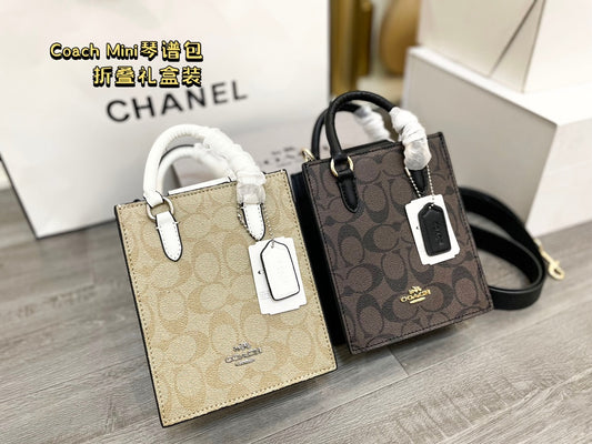 Co-BAG194-2