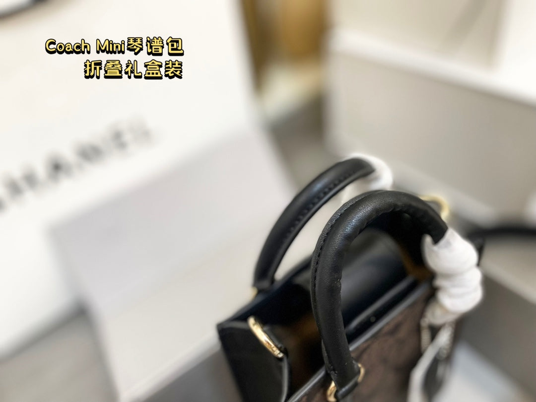 Co-BAG194-2