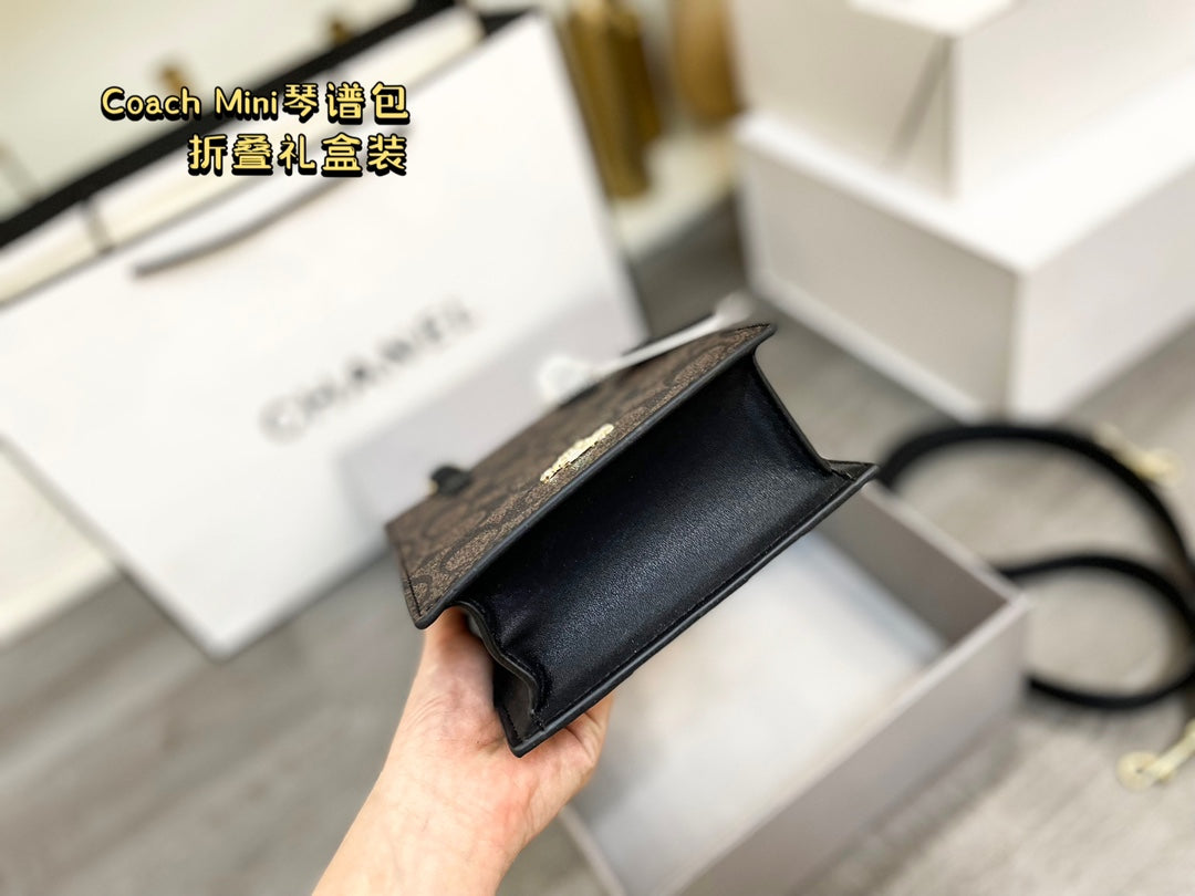 Co-BAG194-2