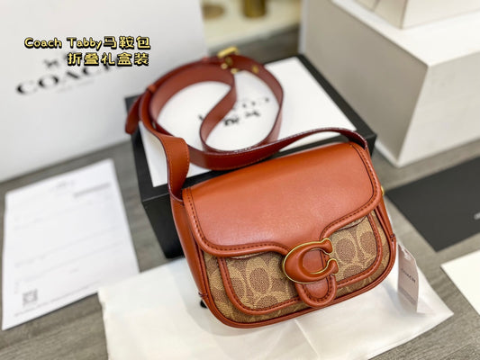 Co-BAG195-2