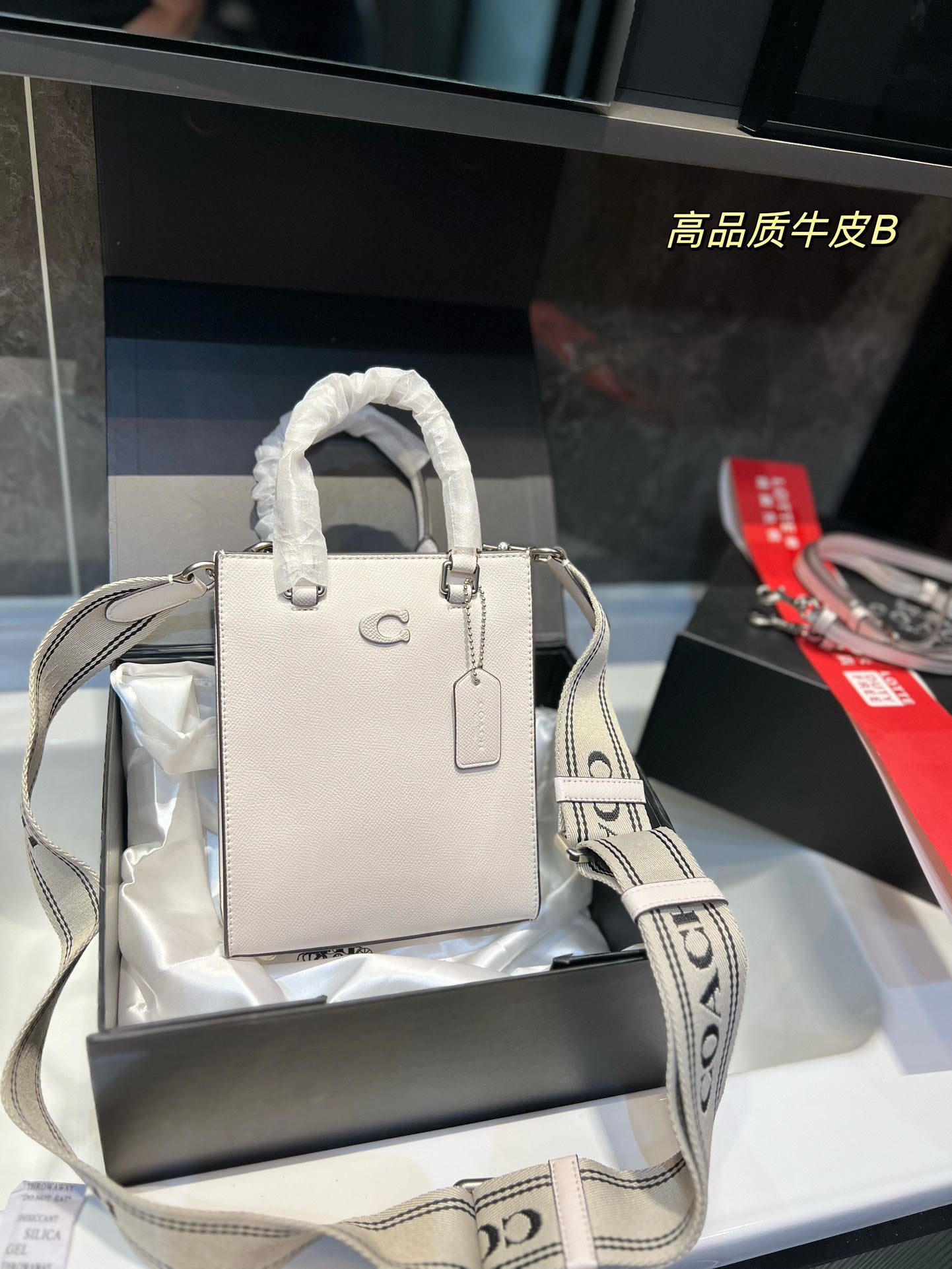 Co-BAG213
