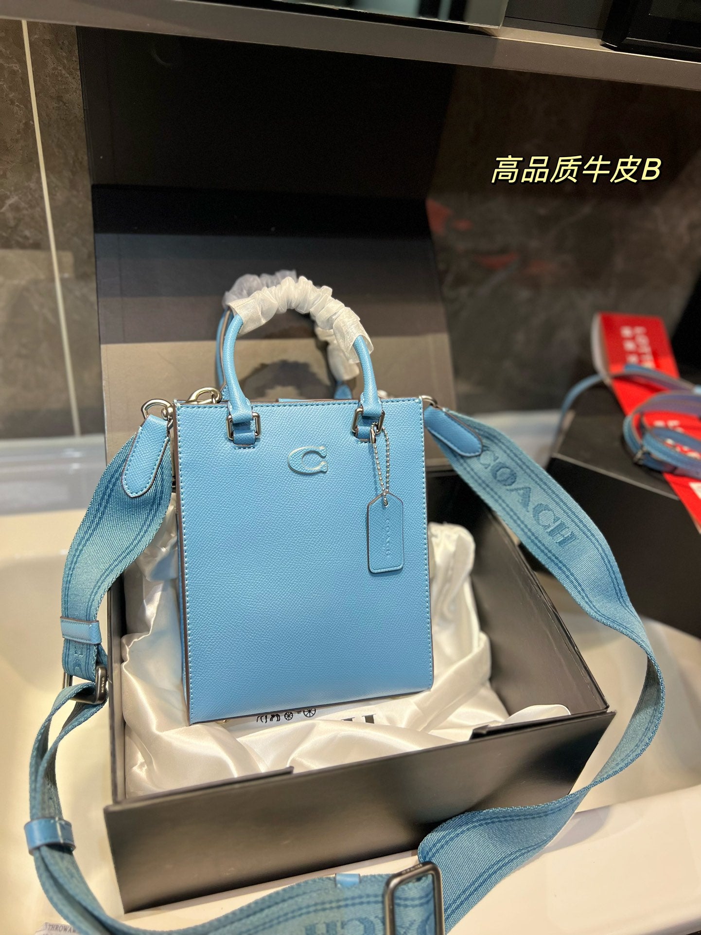 Co-BAG213