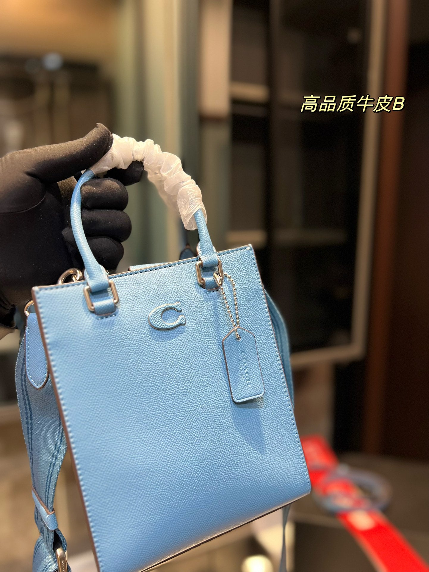 Co-BAG213