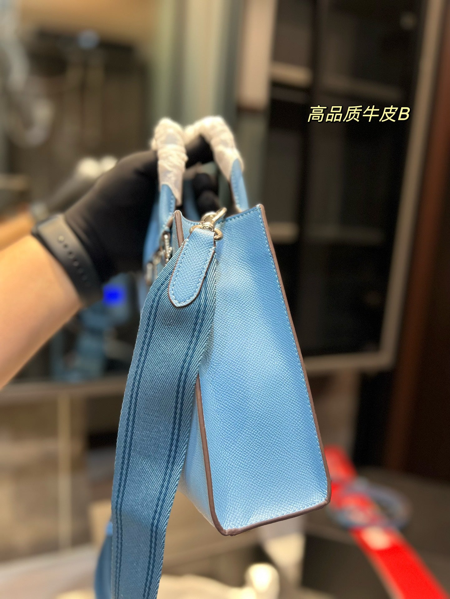 Co-BAG213