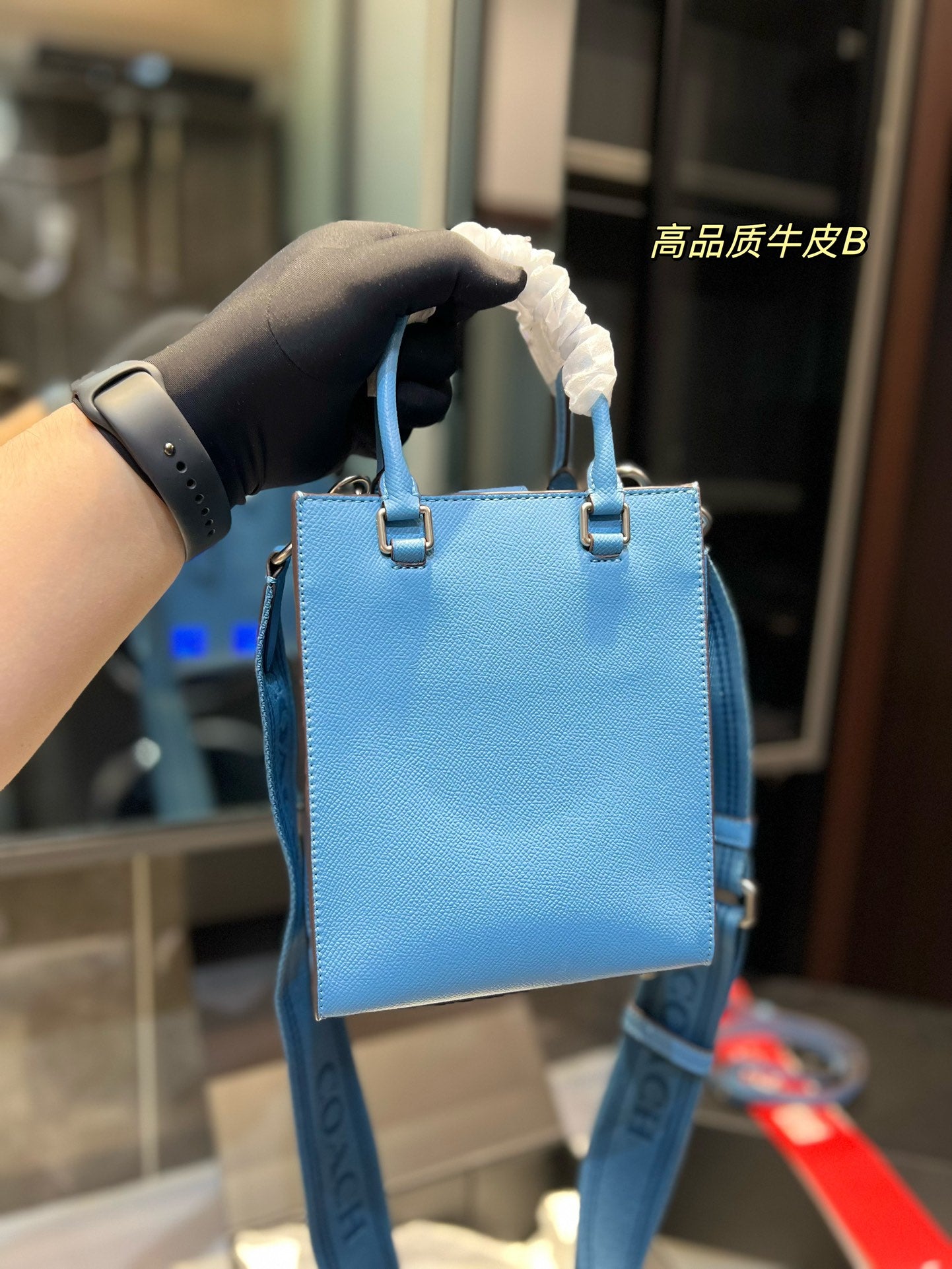 Co-BAG213