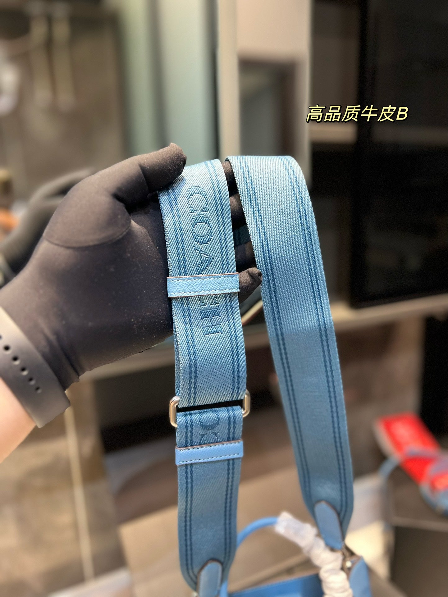 Co-BAG213