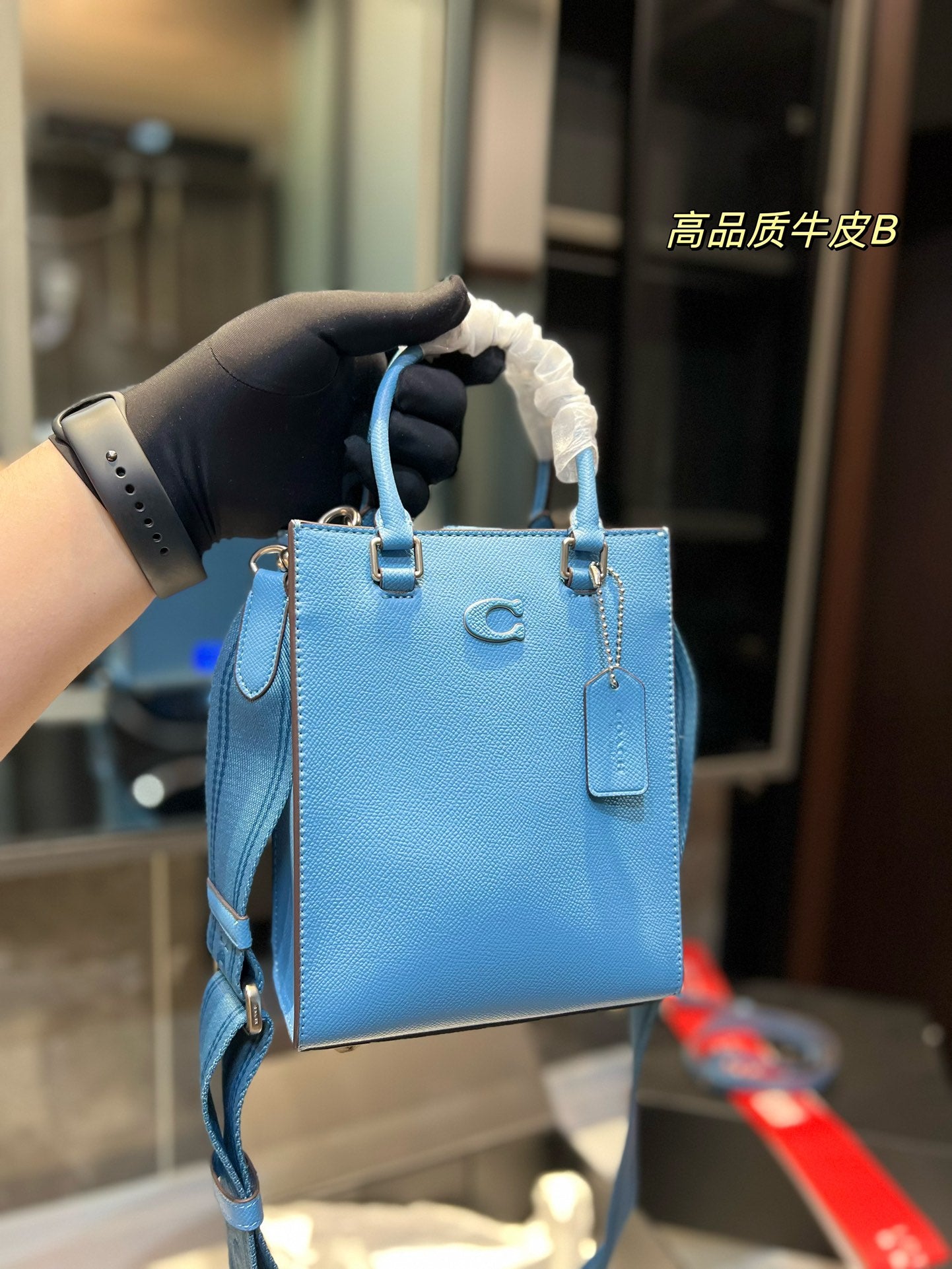 Co-BAG213