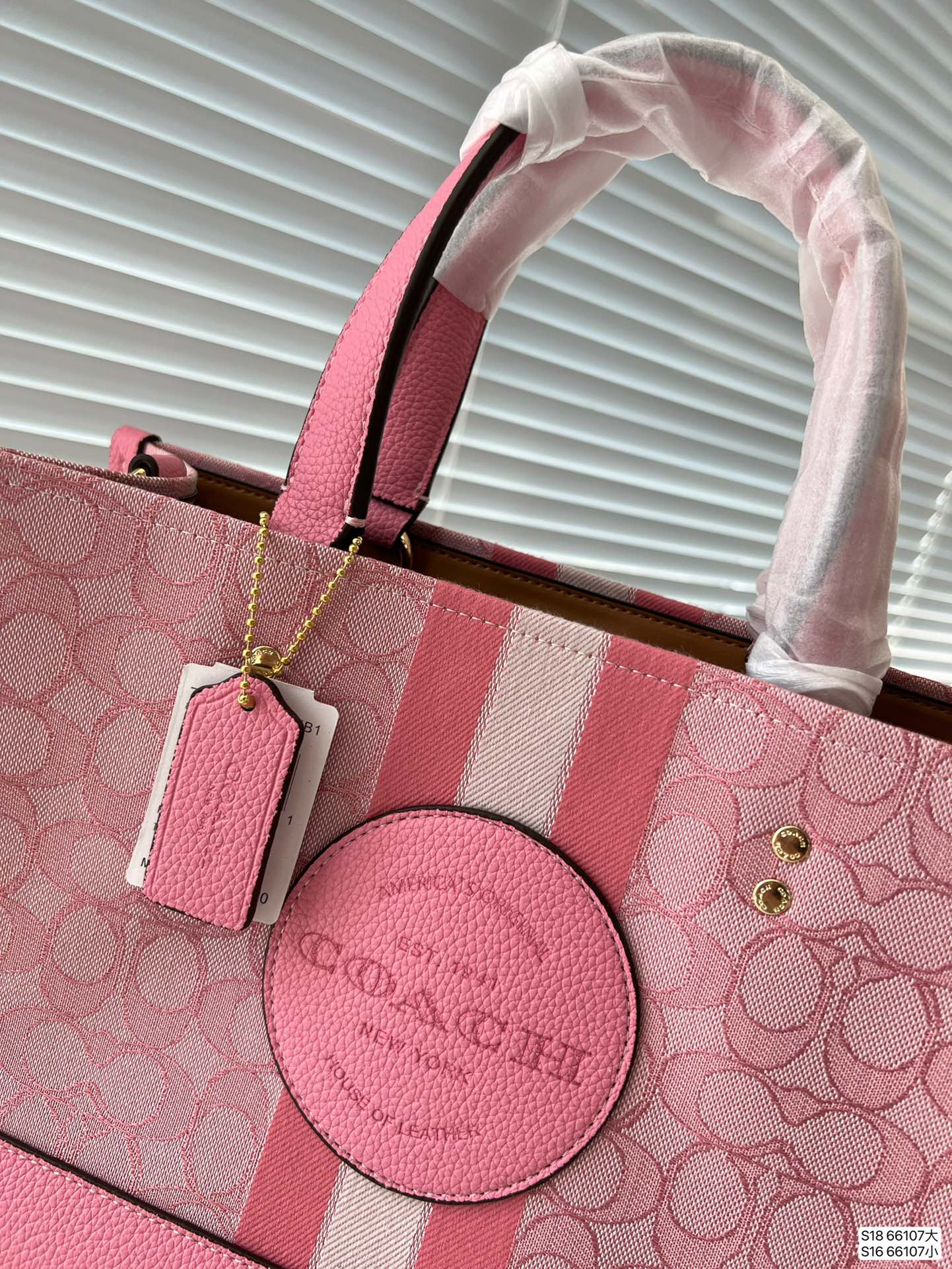 Co-BAG216