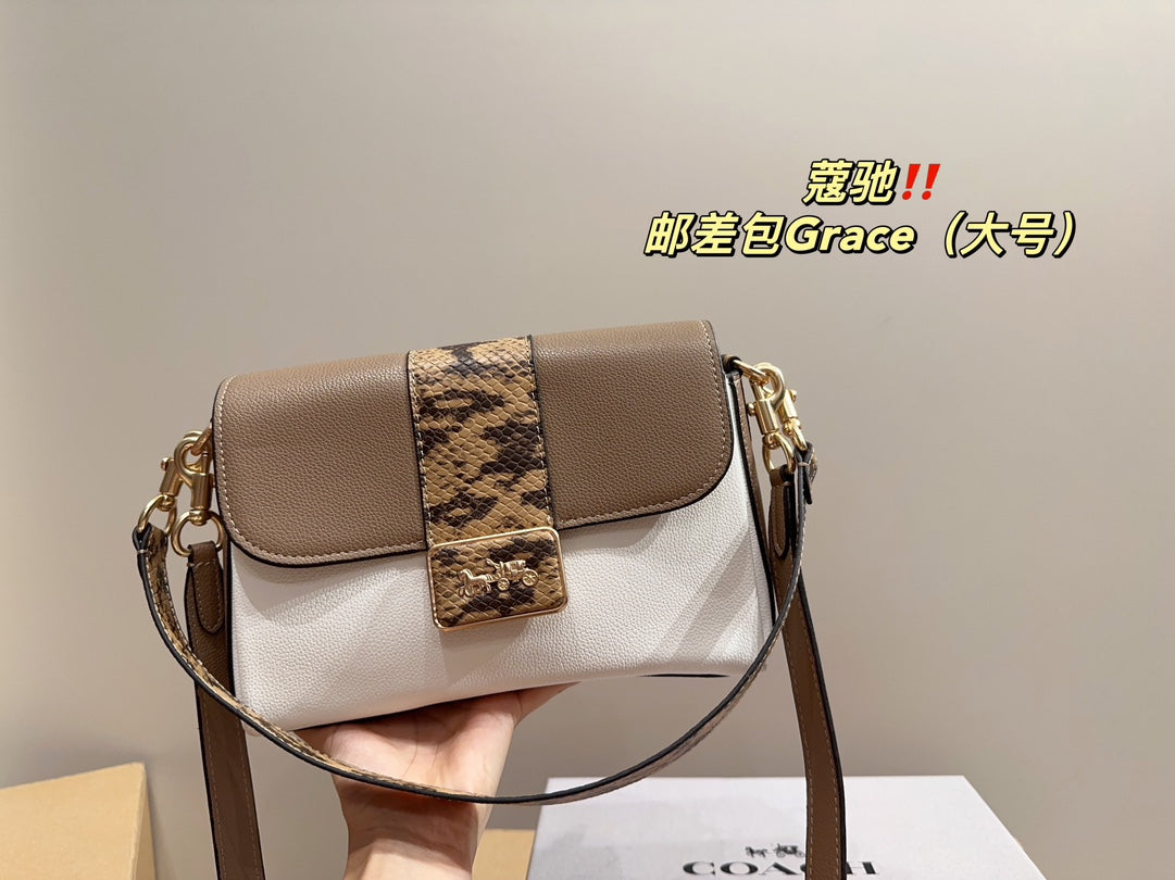 Co-BAG219-2