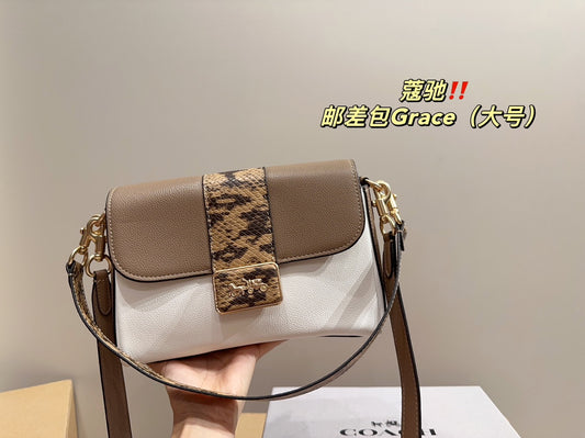 Co-BAG219-2