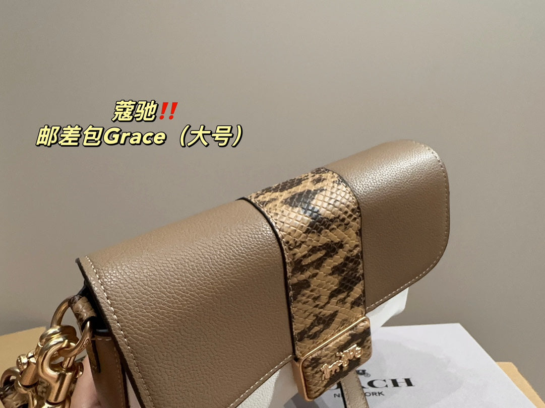 Co-BAG219-2