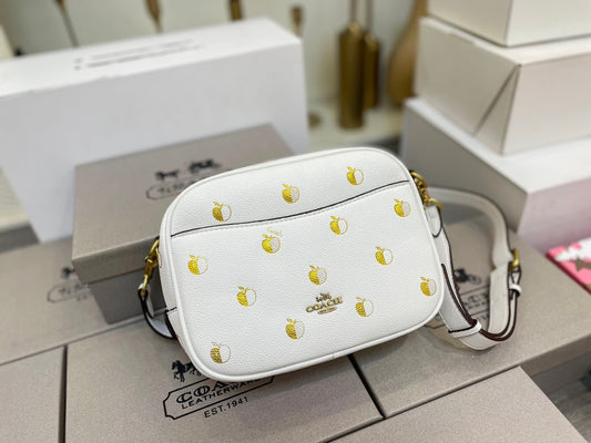 Co-BAG221-2