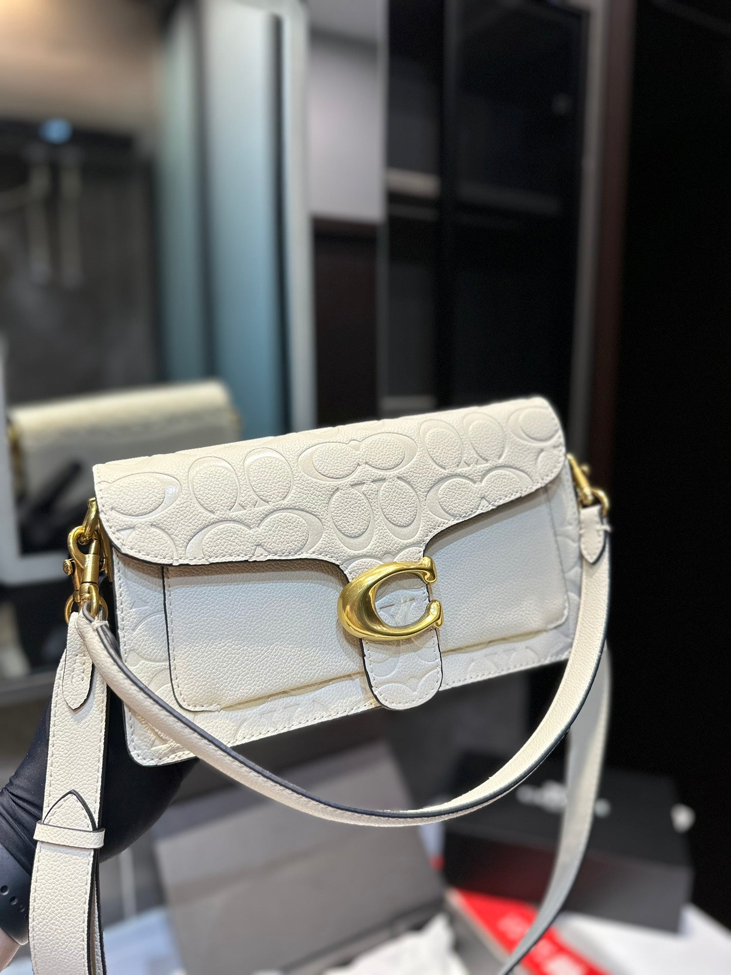 Co-BAG224