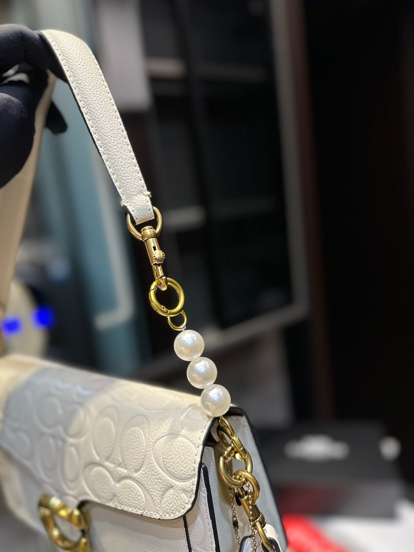 Co-BAG224