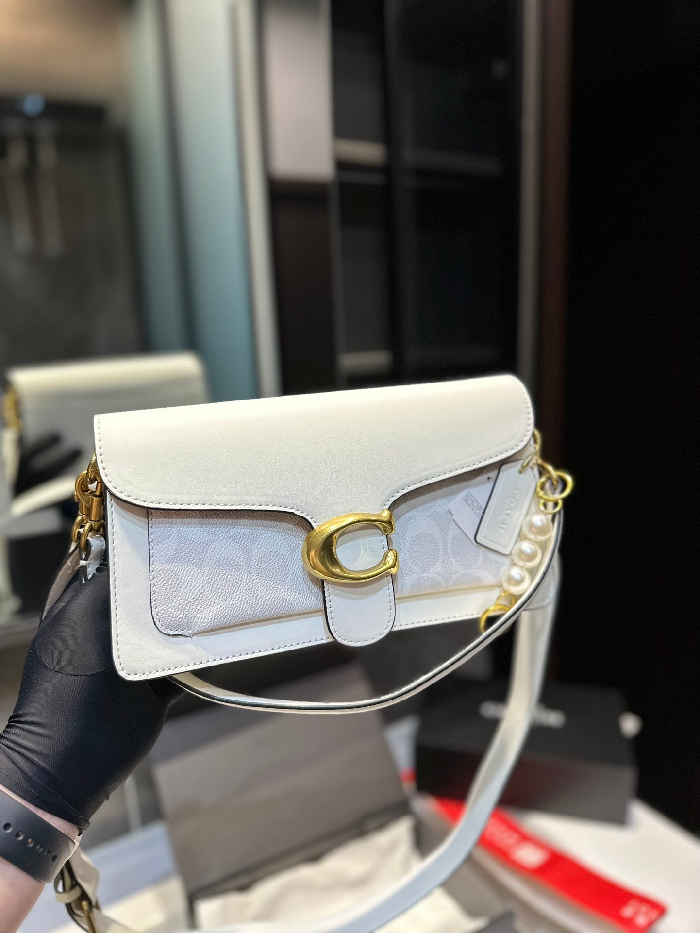 Co-BAG224-2