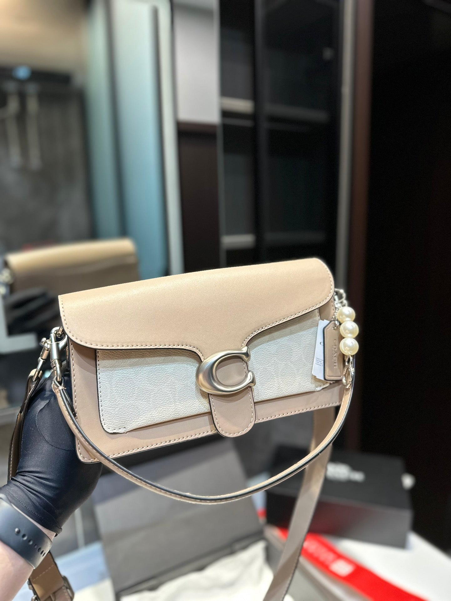Co-BAG224-2