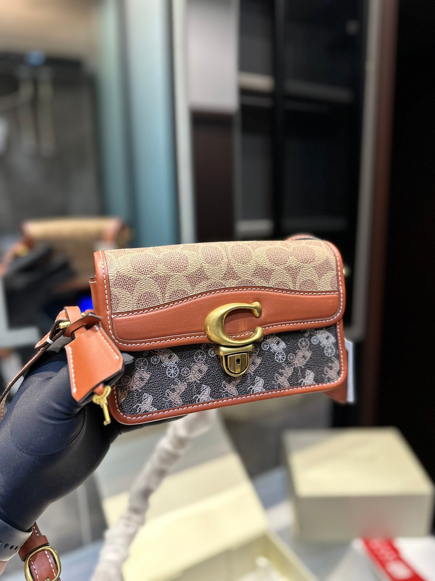 Co-BAG224-3