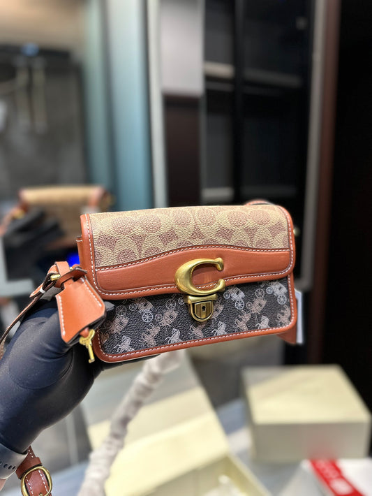 Co-BAG224-3